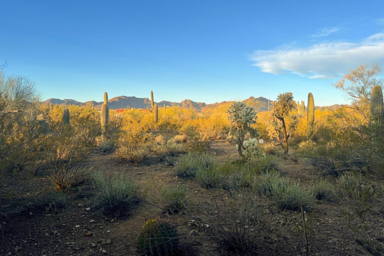 Sunrock On 8 Acres Villa Tucson Exterior photo