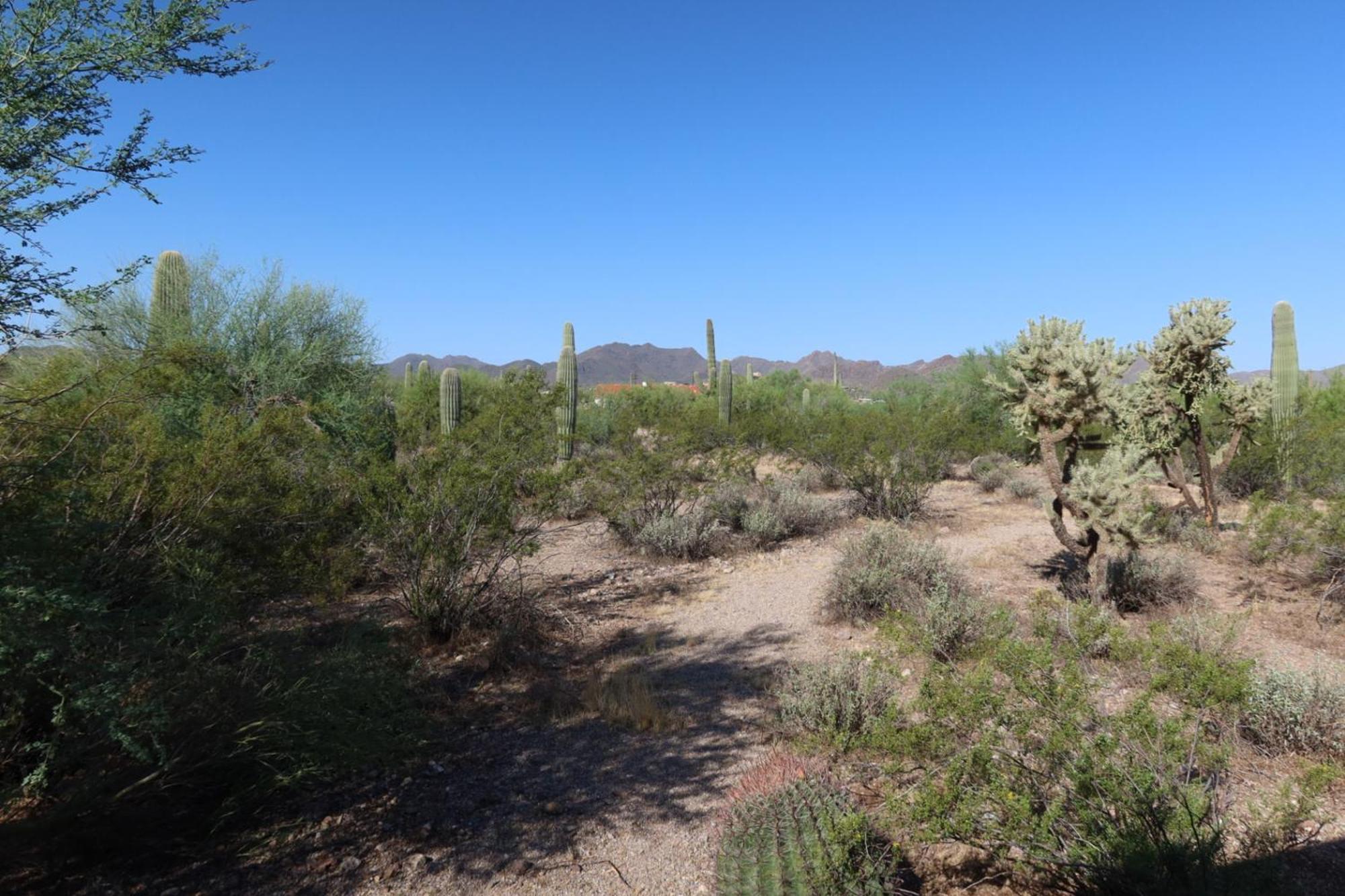 Sunrock On 8 Acres Villa Tucson Exterior photo